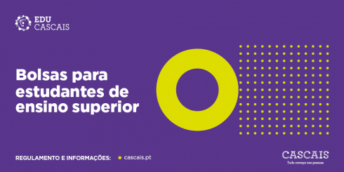 Bolsas para Estudantes de ensino superior