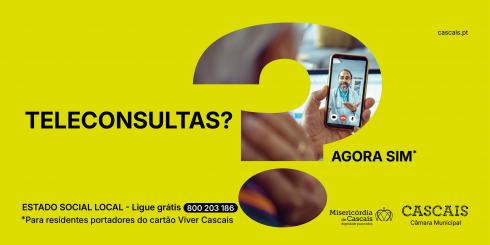 TELECONSULTAS 2025