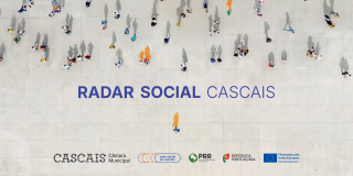 Radar Social Divulgação CMC Site.png