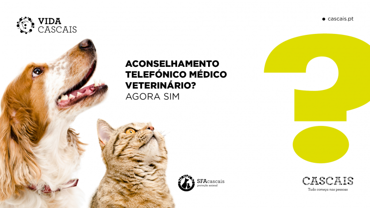 Médico Veterinário